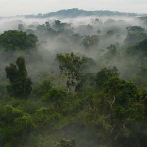Alta Floresta Amazona