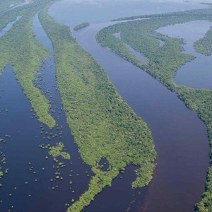 Amazon river negro - Amazonie Rio Negro